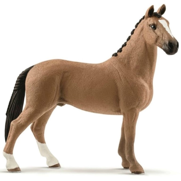 Hanoverian Gelding 13837