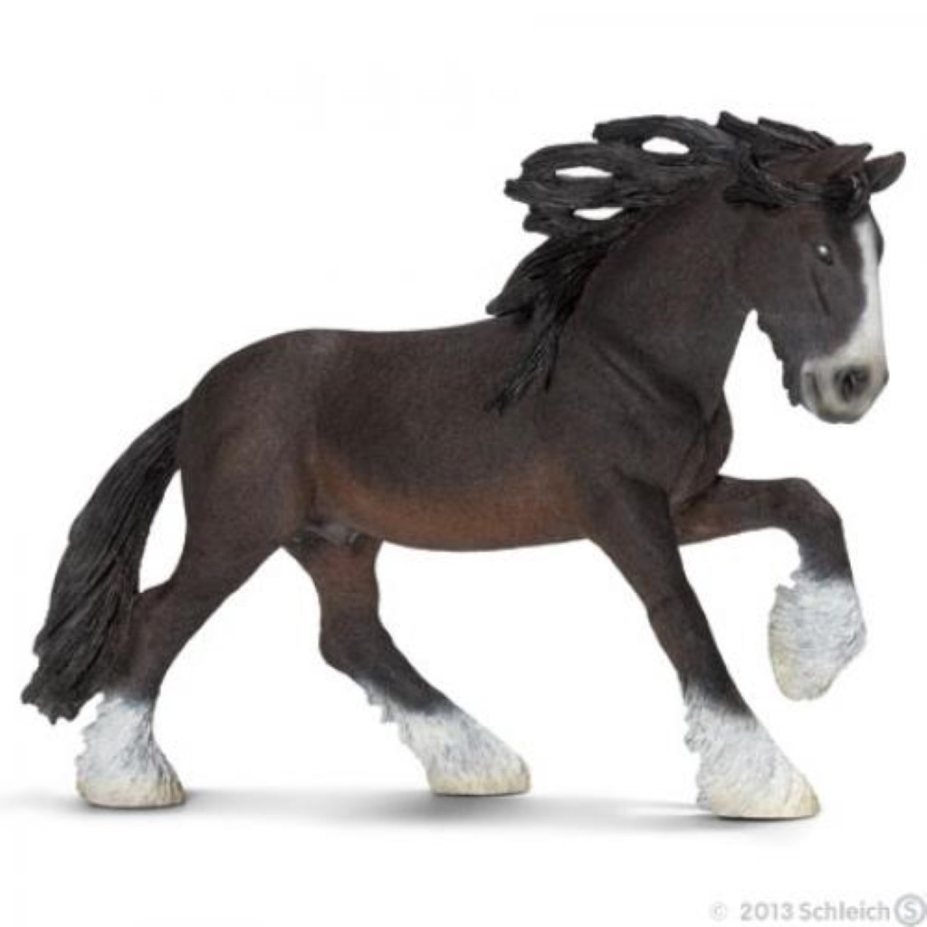 Shire Stallion 13734
