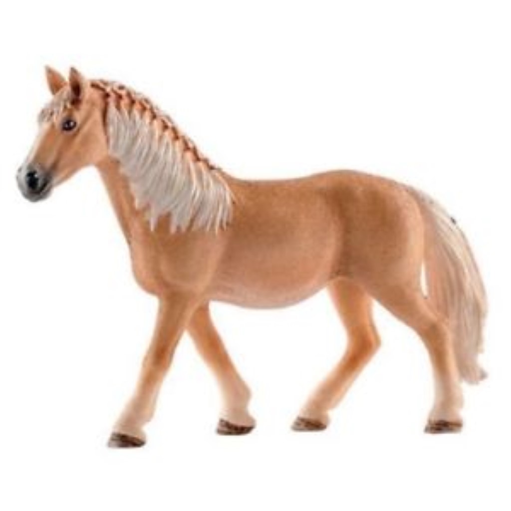 Haflinger Mare 13812