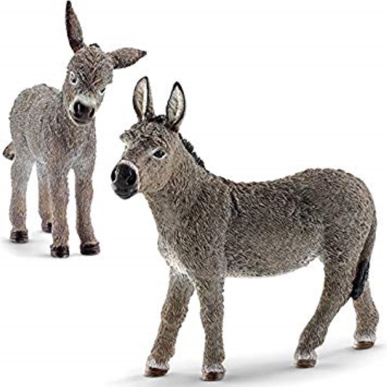 Donkey 13772
