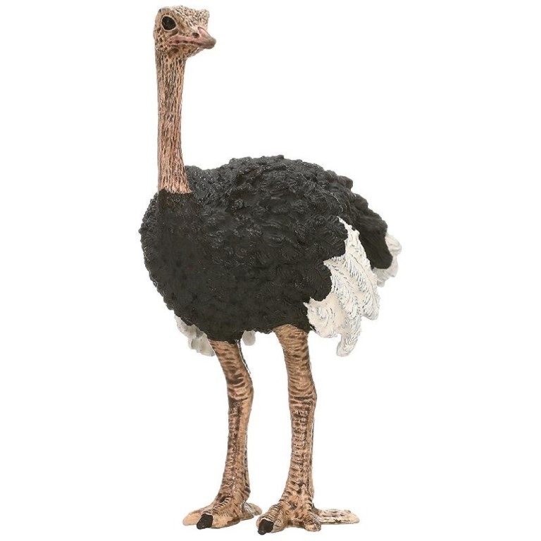 Ostrich 14744