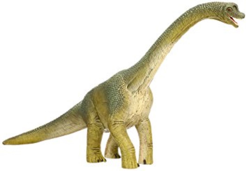 Brachiosaurus 14581