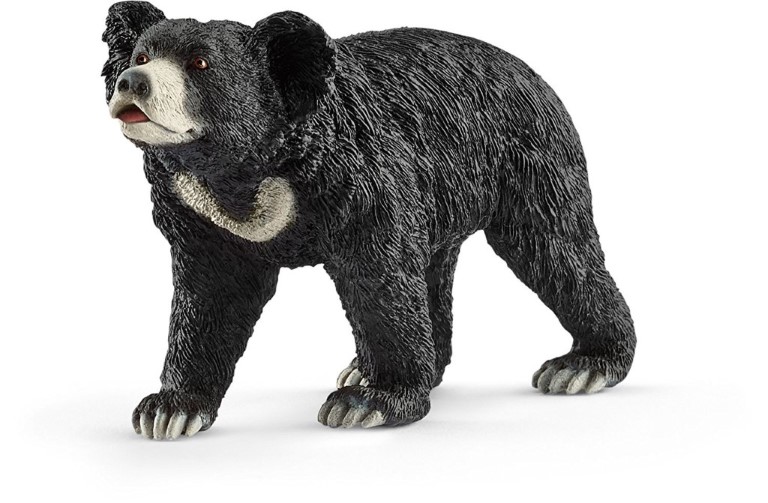 Sloth Bear 14779