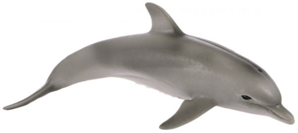 Dolphin 14699