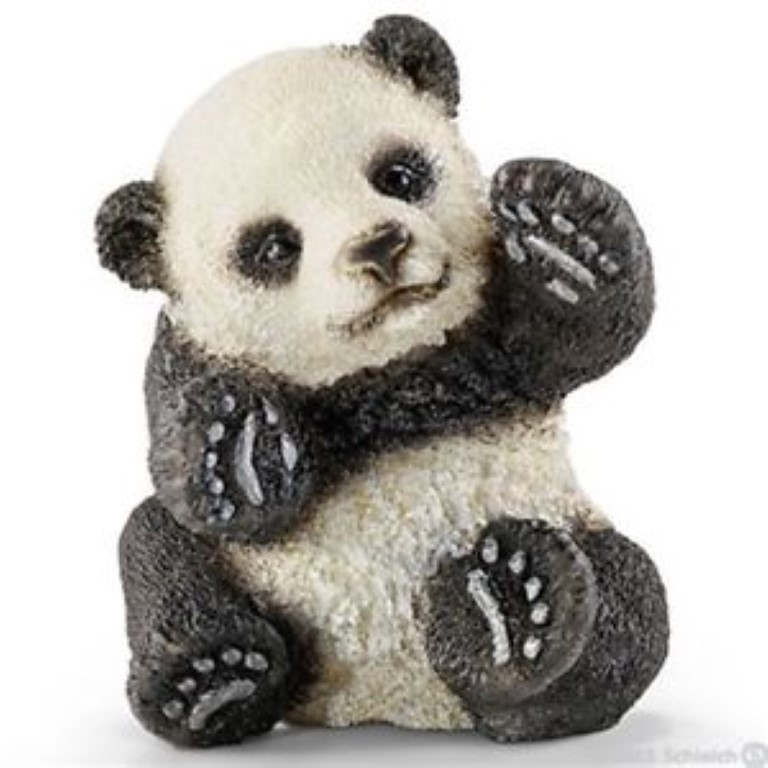 Panda Cub Playing 14734