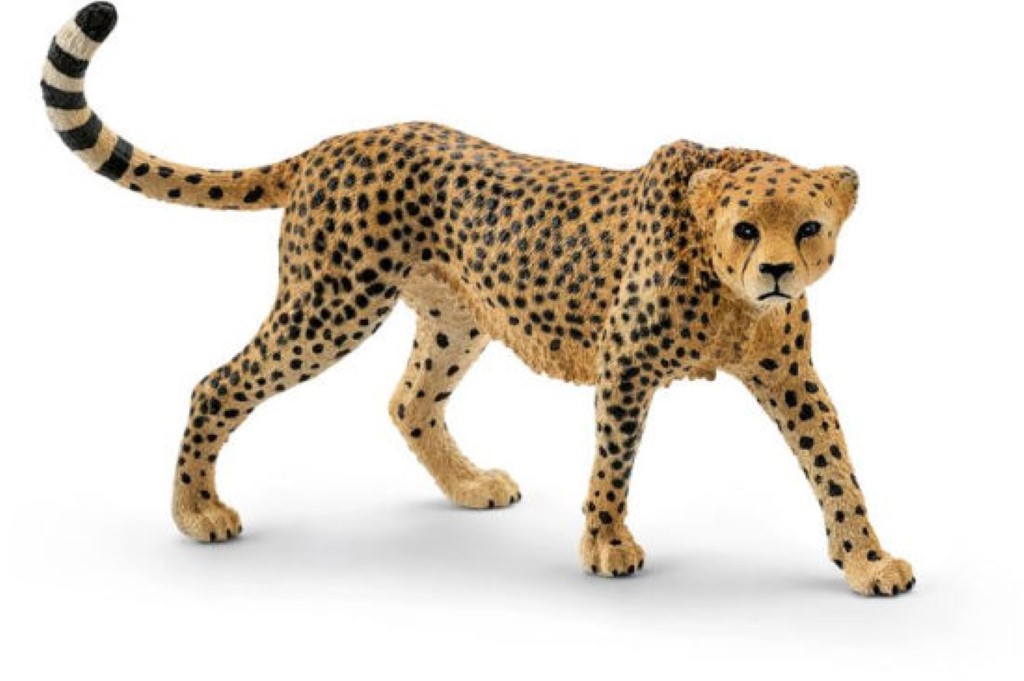 Cheetah Female 14746