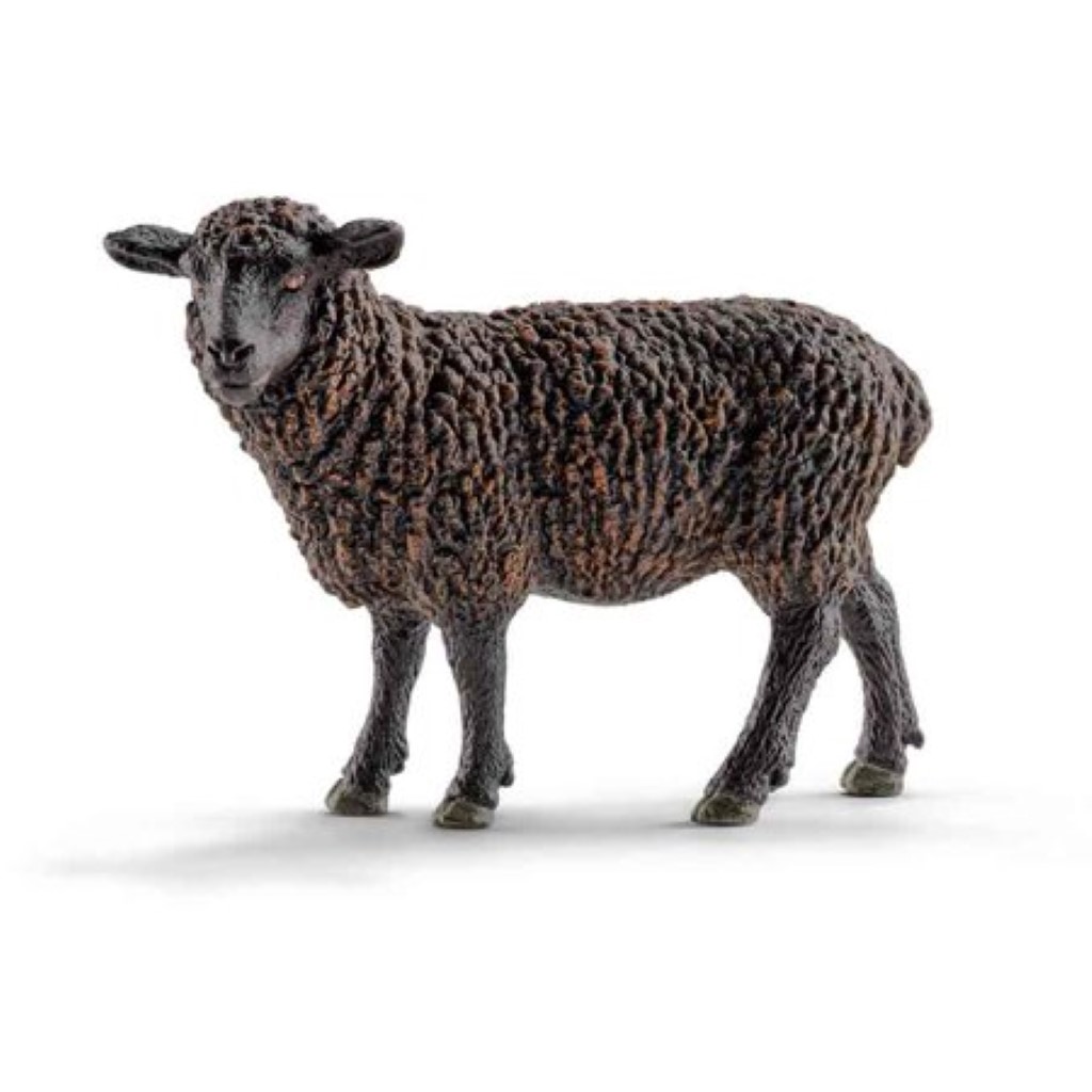 Black Sheep 137851