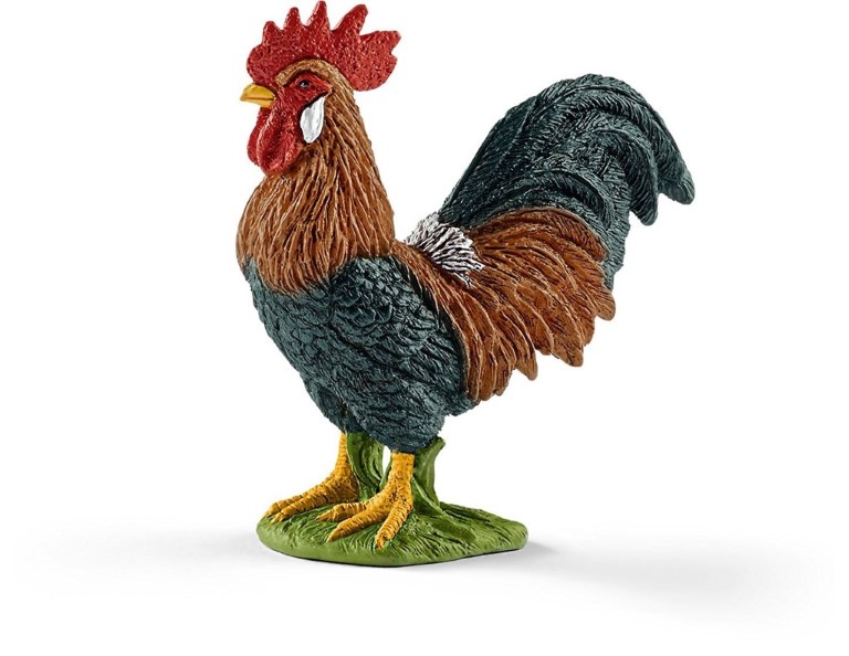 Rooster 13825