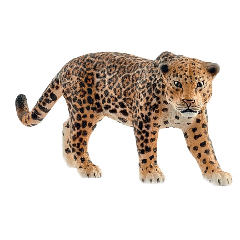 Jaguar 14769