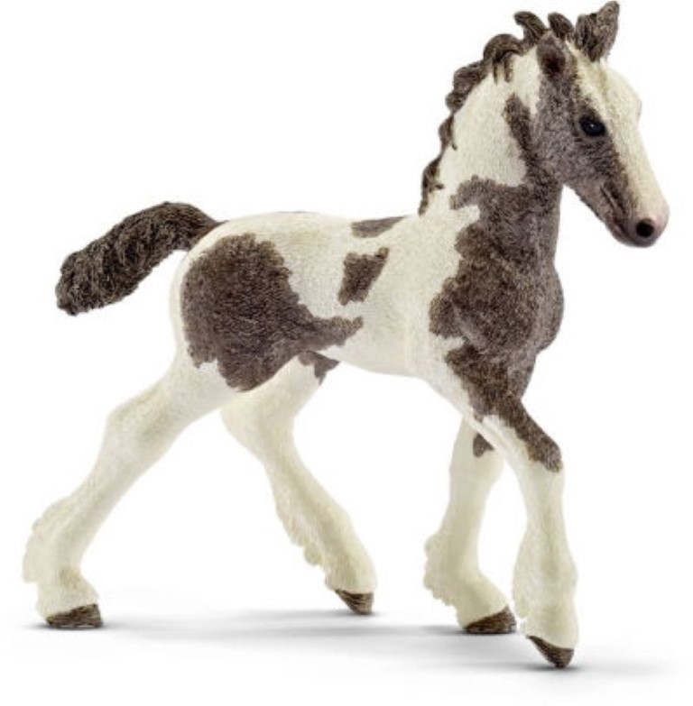 Tinker Foal 13774