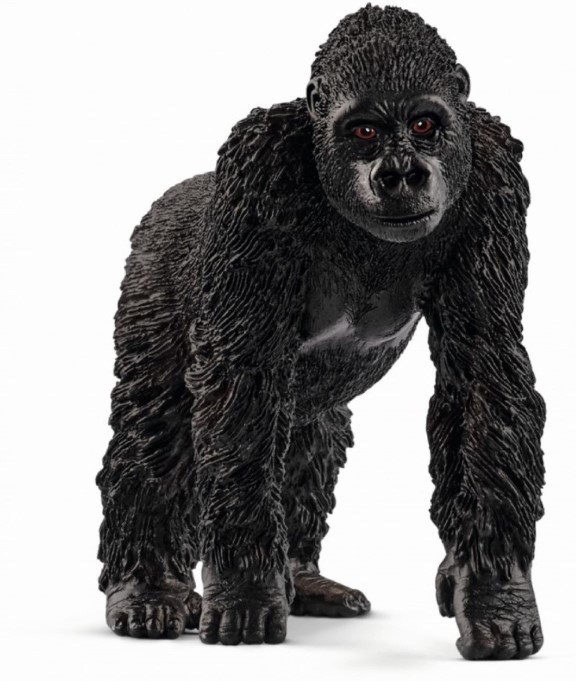 Gorilla Female 14771