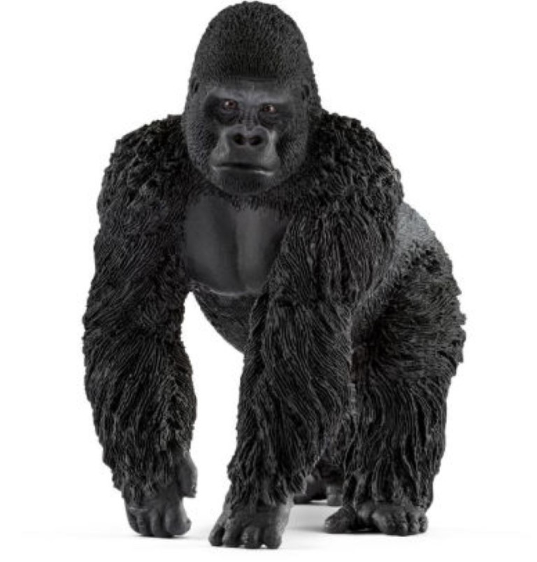 Gorilla Male 14770