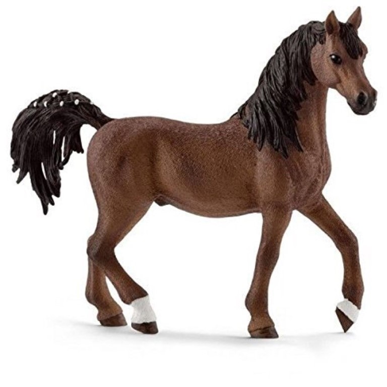 Arab Stallion 13811