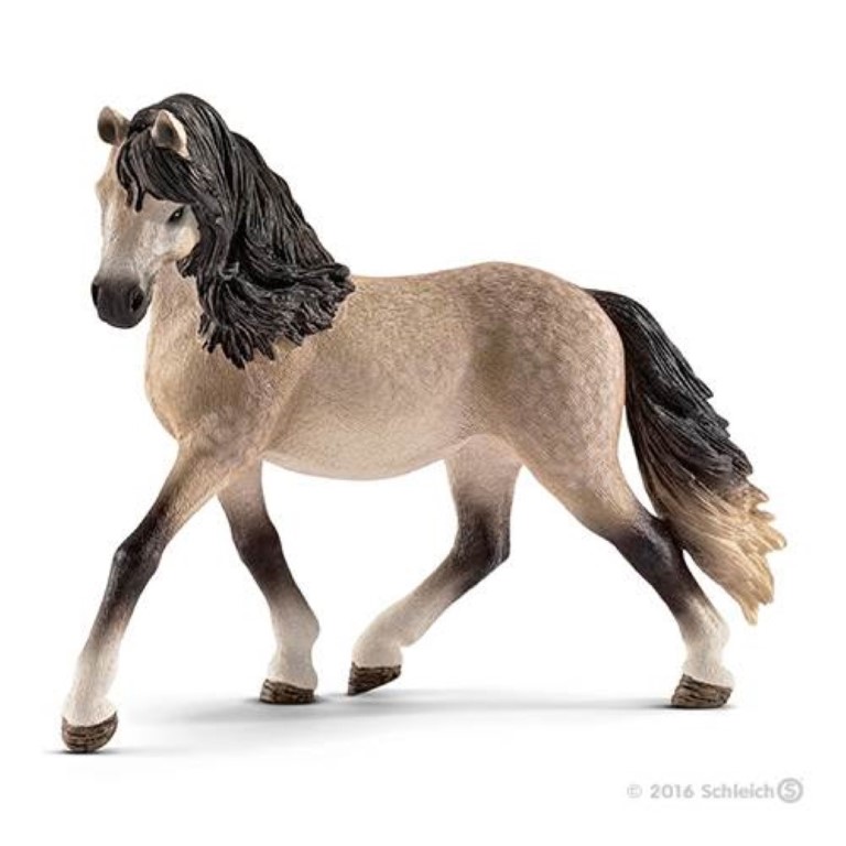 Andalusian Mare 13793