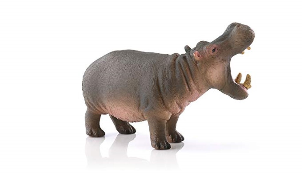 Hippopotamus 14681