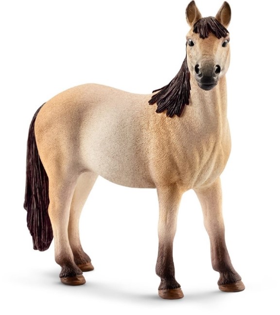 Mustang Mare 13806