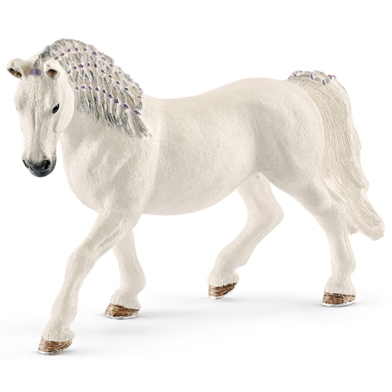 Lipizzaner Mare 13819