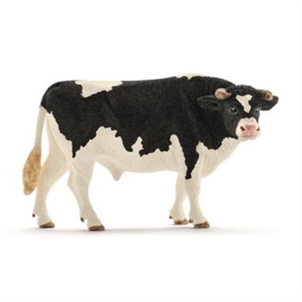 Holstein Bull 13796
