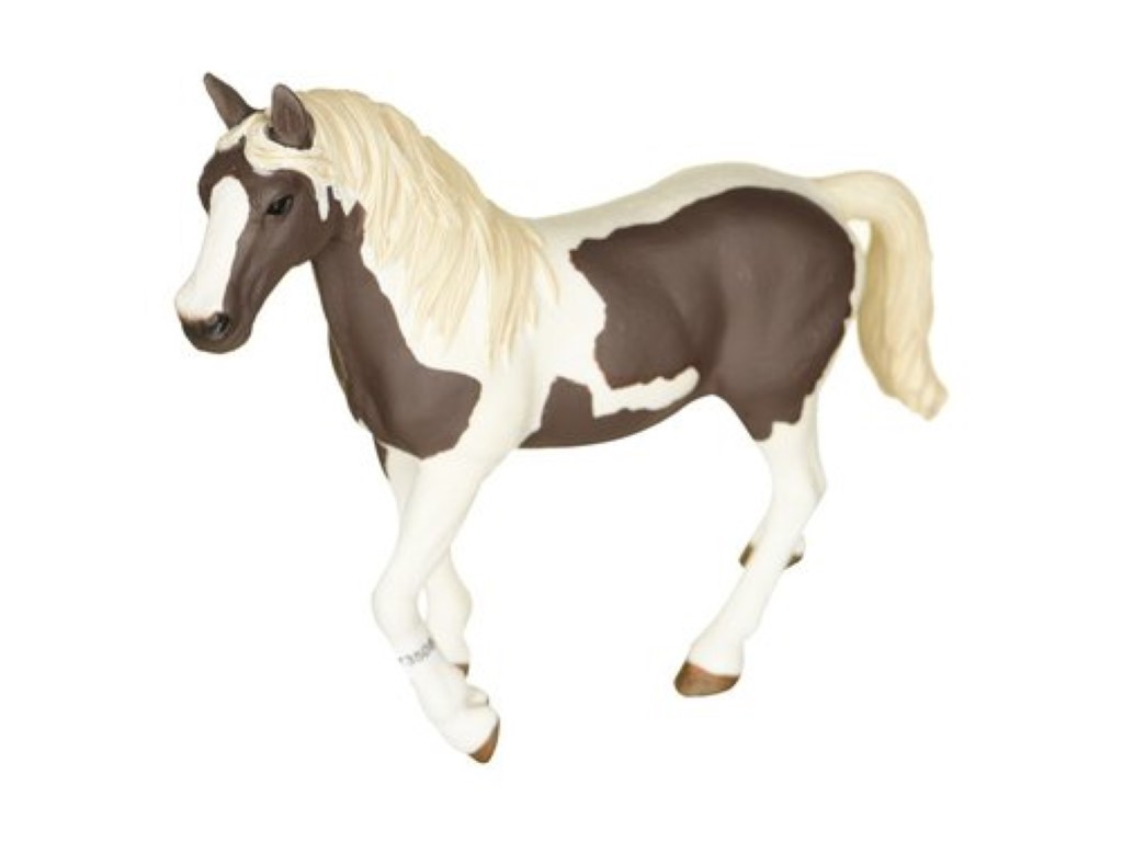 Pinto Mare 13830