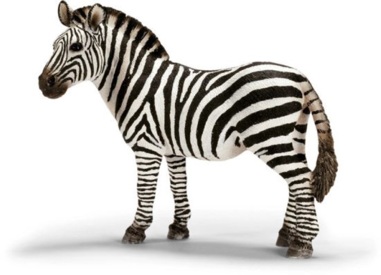 Zebra Female 14392