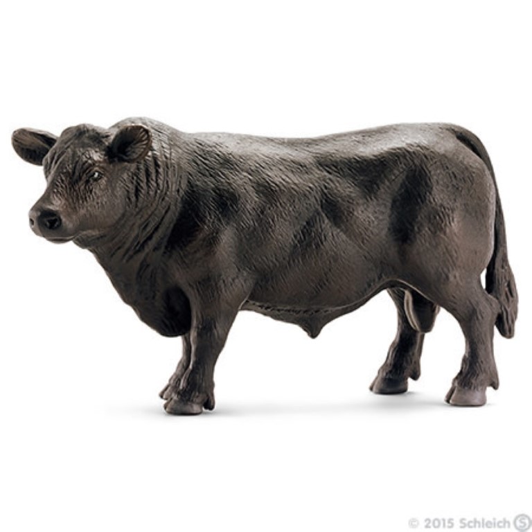 Black Angus Bull 13766