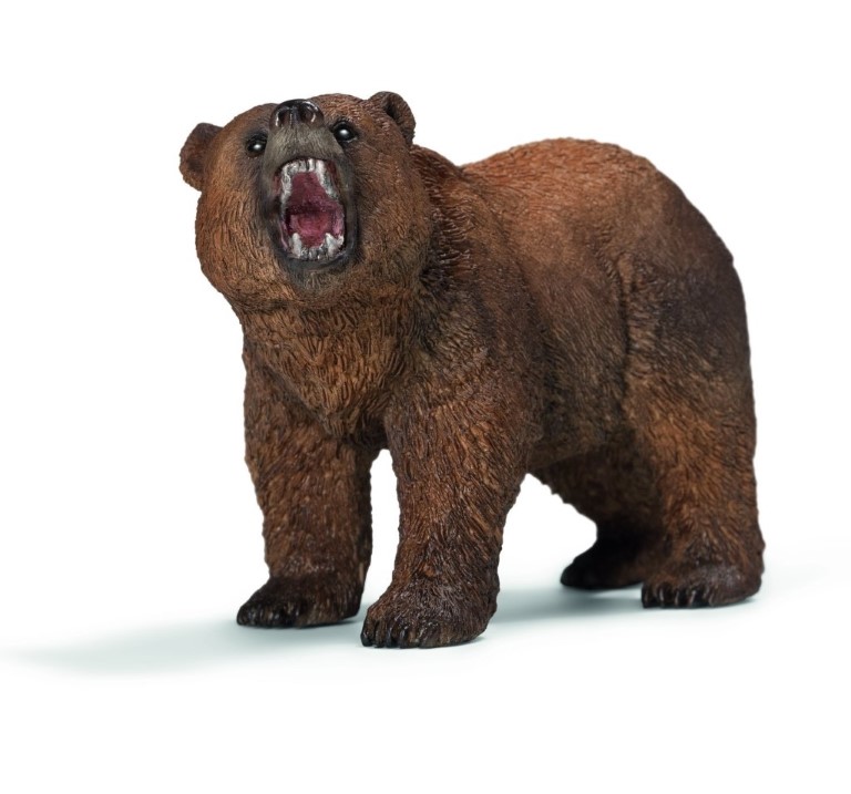Grizzly Bear 14685