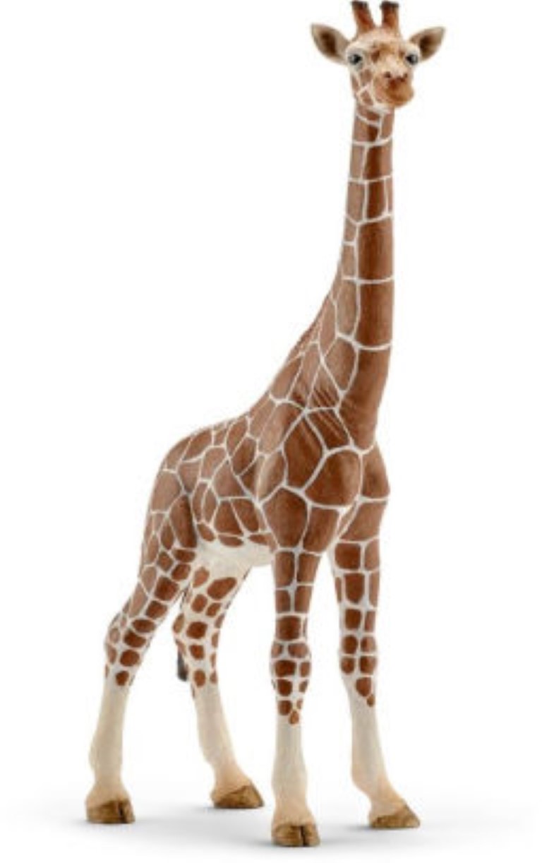 Giraffe Female 14750