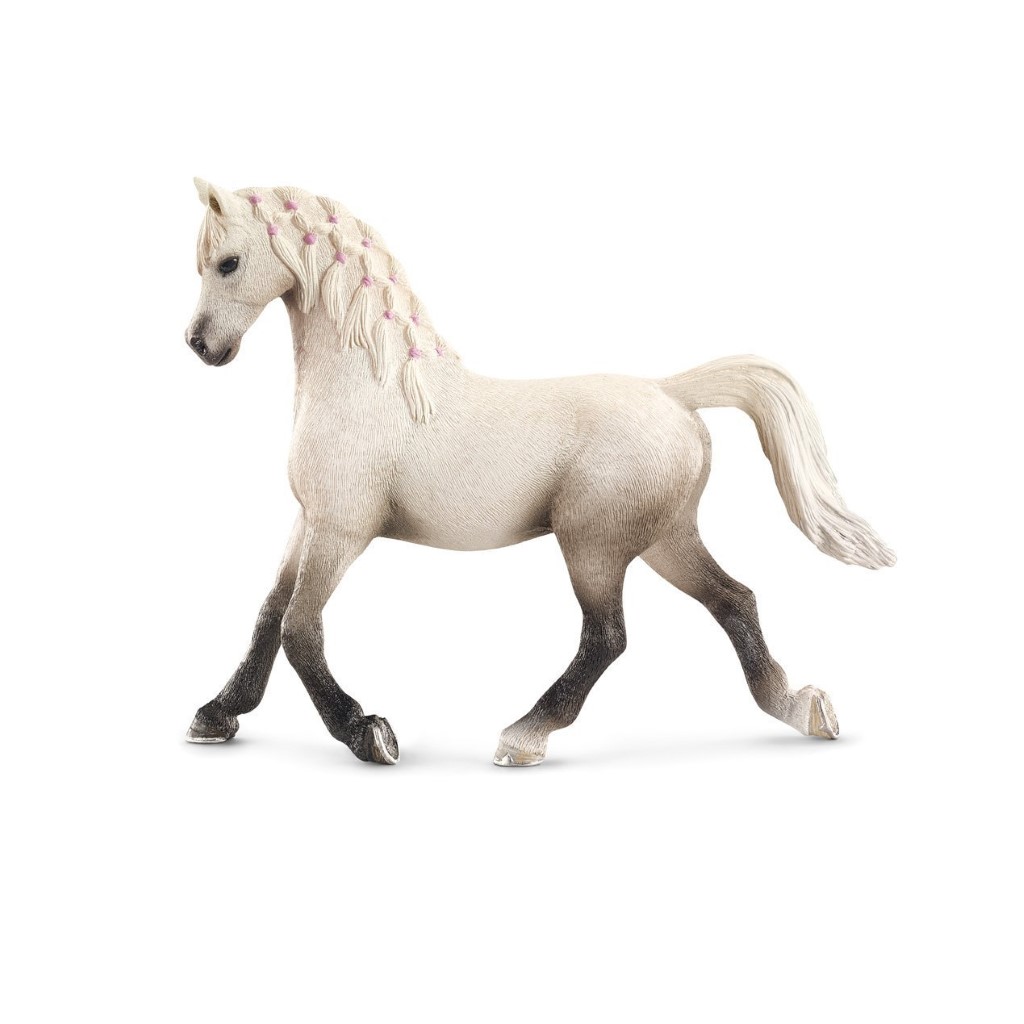 Arabian Mare 13761