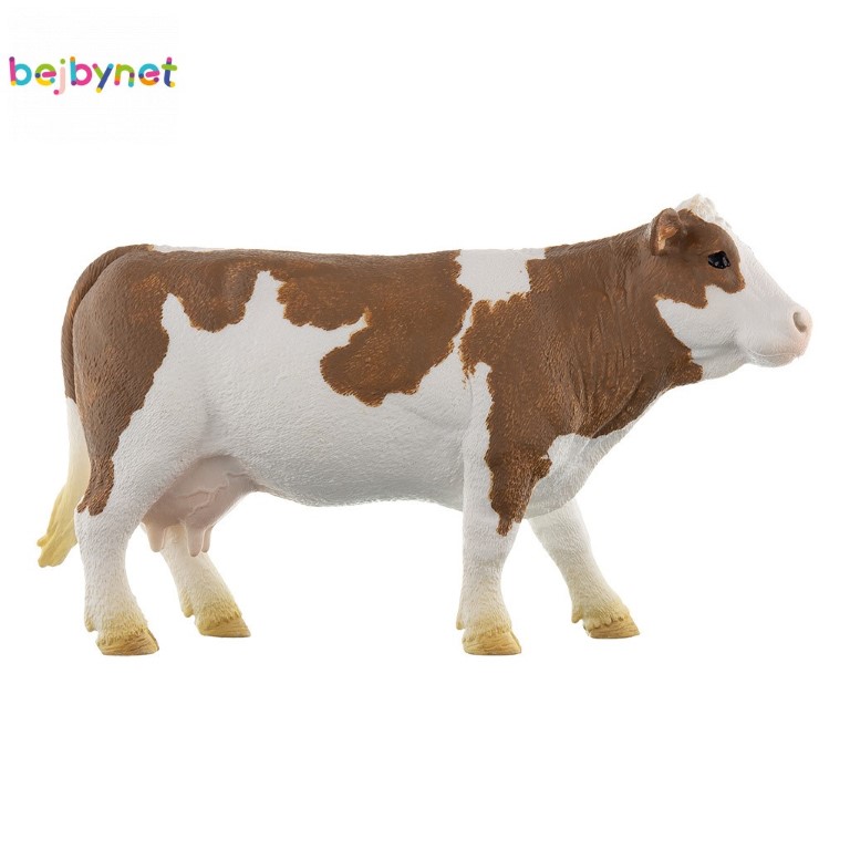 Simmental Cow 13801