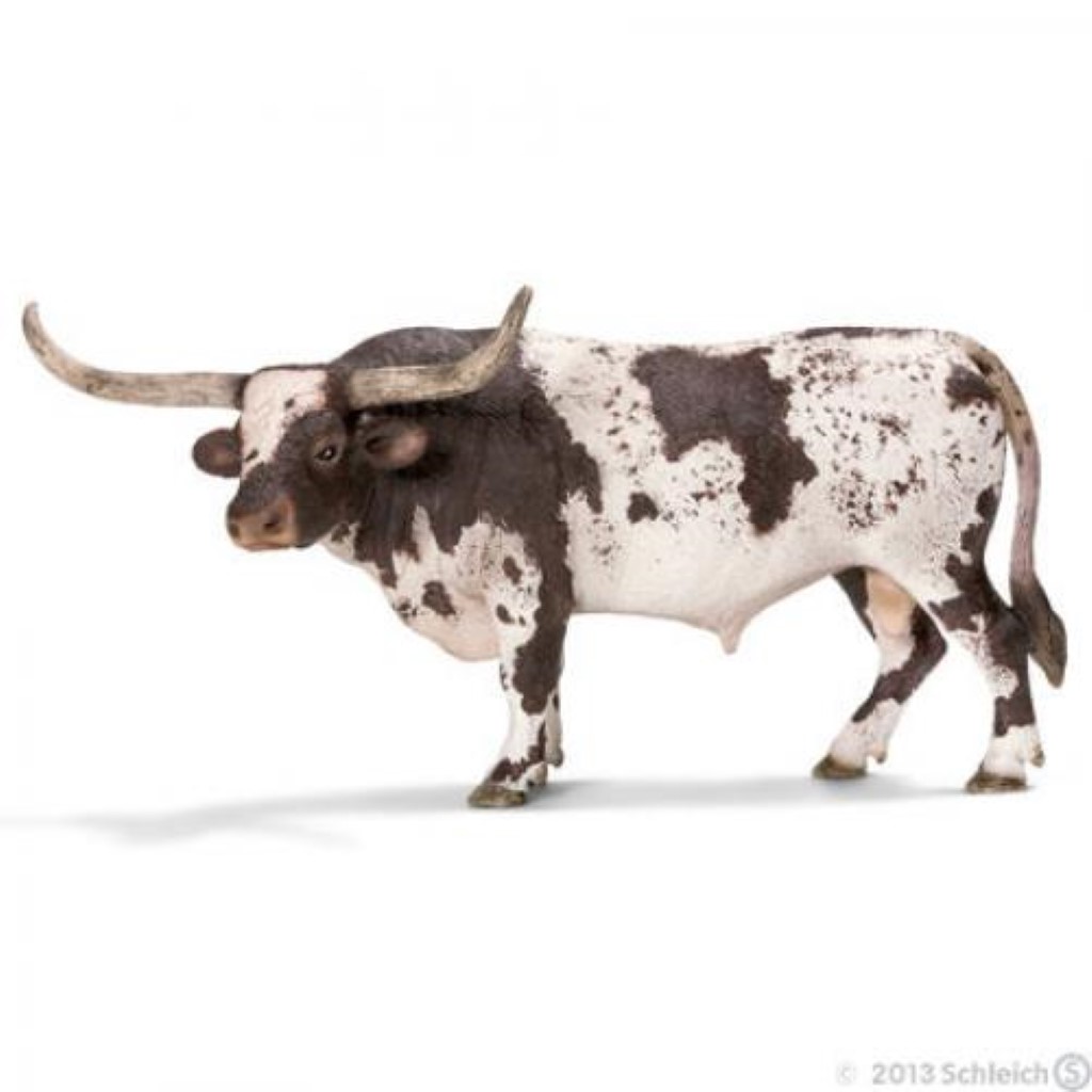 Texas Longhorn Bull 13721 - 0