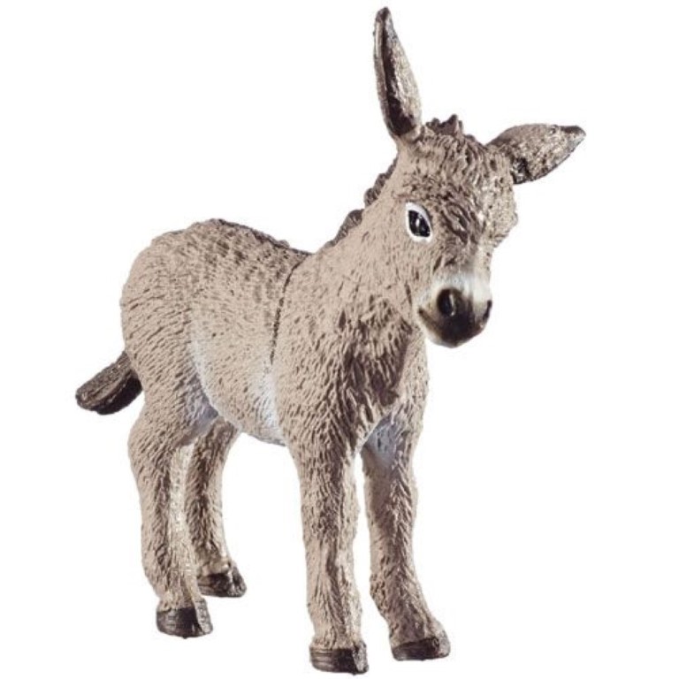 Donkey Foal 13746