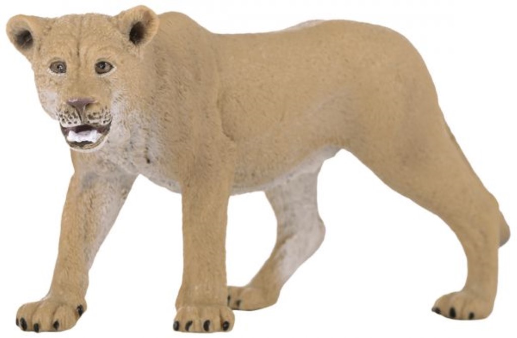 Lioness 14712