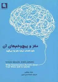 مغز و پیچ و خم های آن