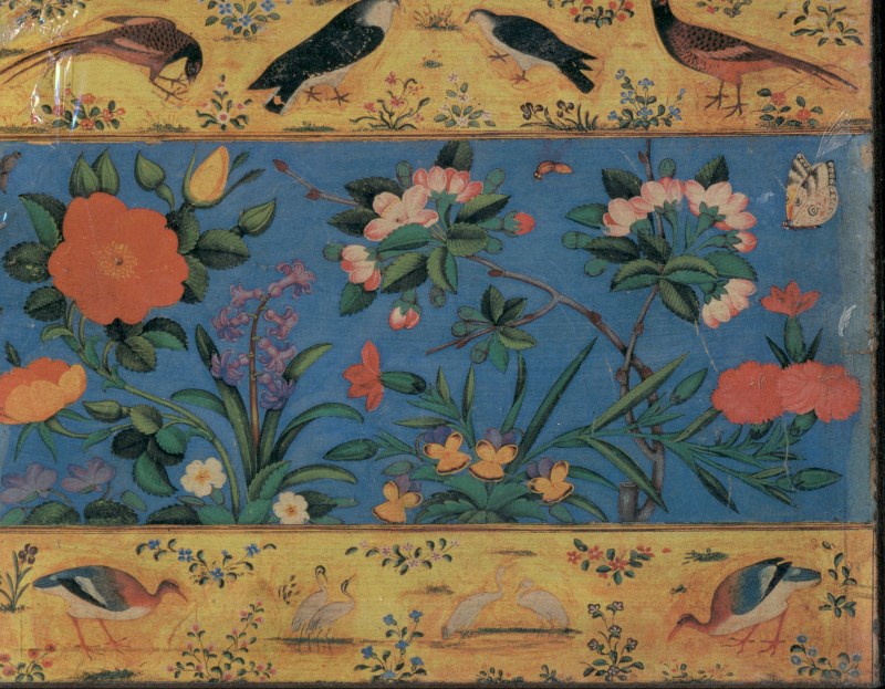 کوسن 6