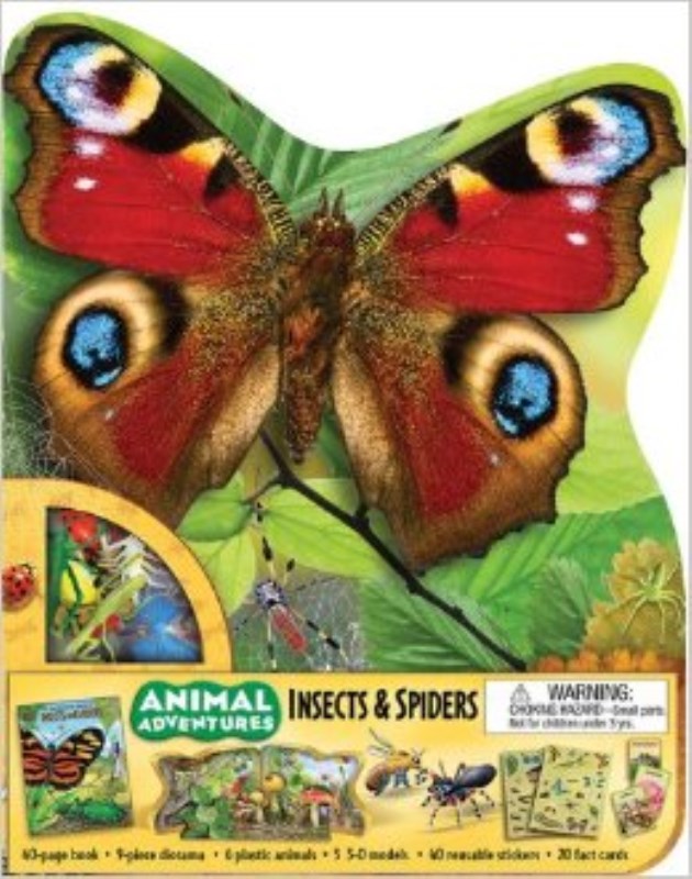 Animal adventures insects and spiders