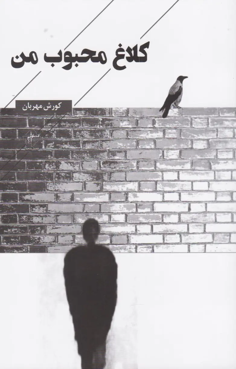 کلاغ محبوب من