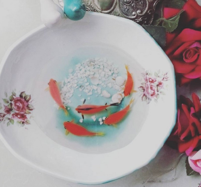 ظرف گل‌سرخی (کوچک)