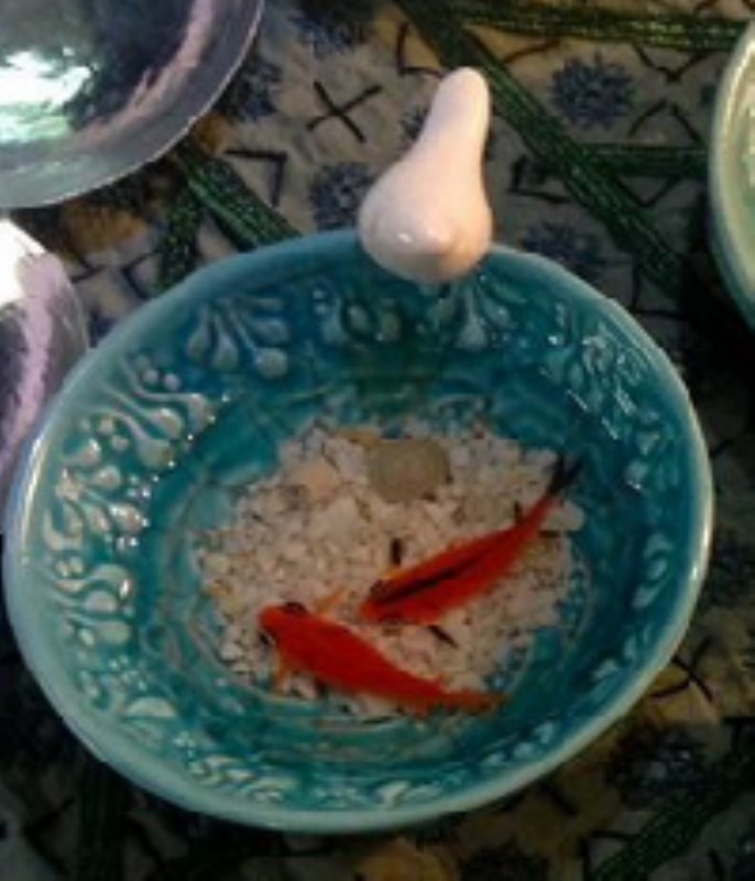 ظرف پرنده‌دار (کوچک)