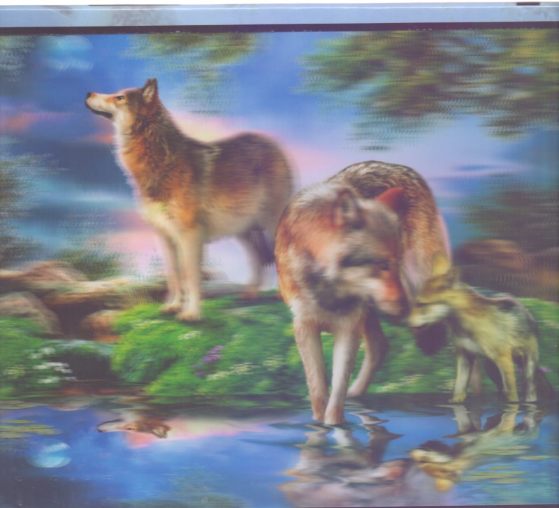 Super 3d wolves