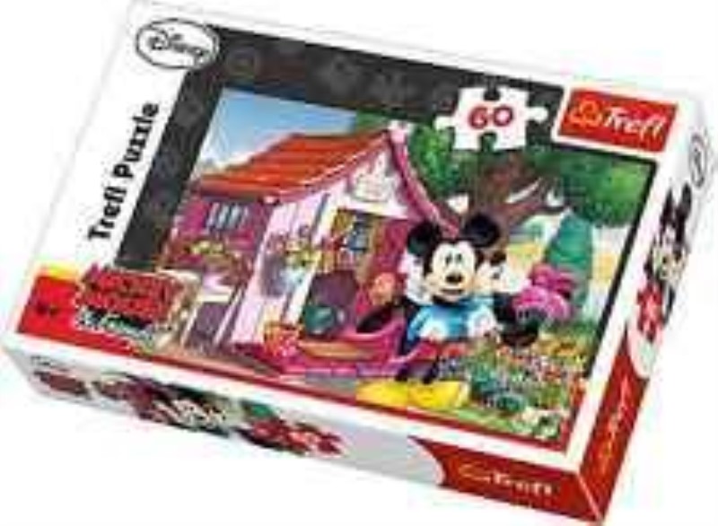 Mickey and monnie in the garden 17285