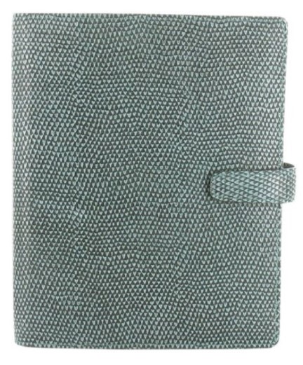 Organiser per chameleon aqua 25437