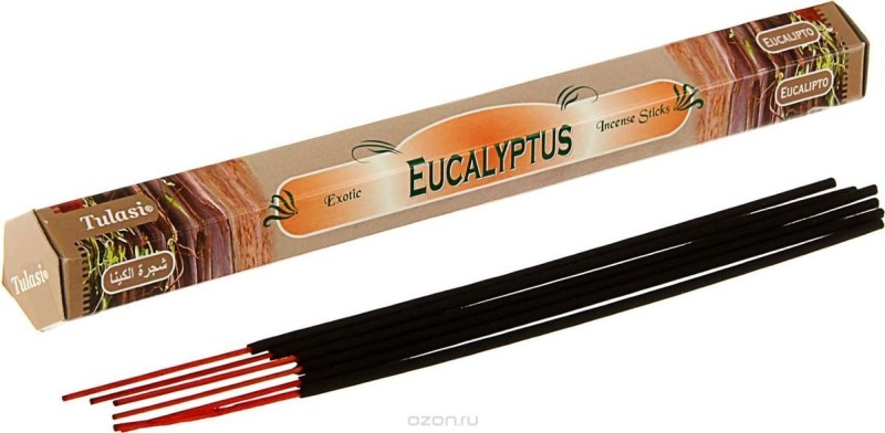 عود Eucalyptus