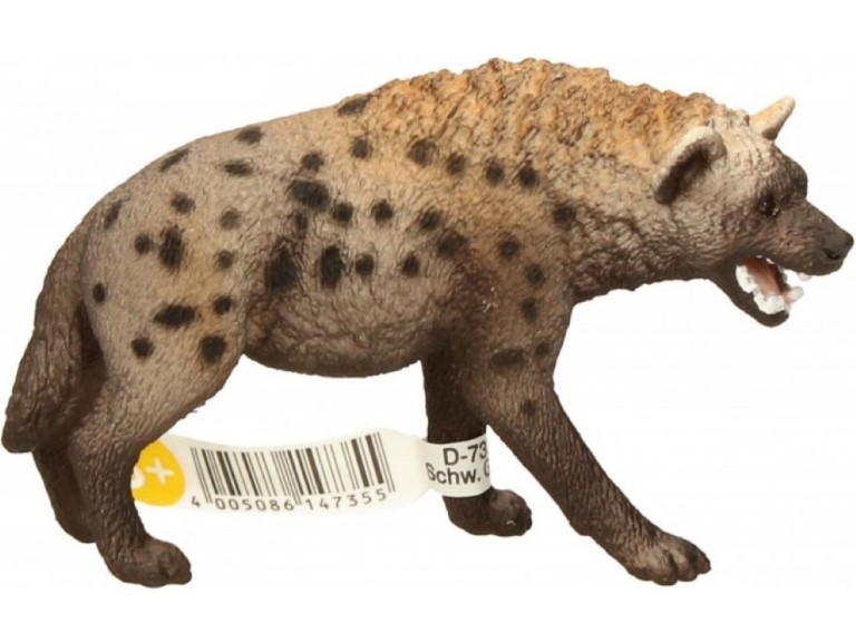 Hyena 14735