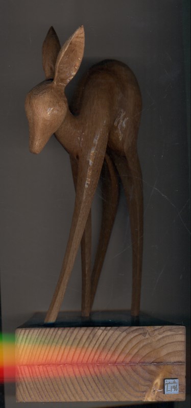 آهوی کوچک