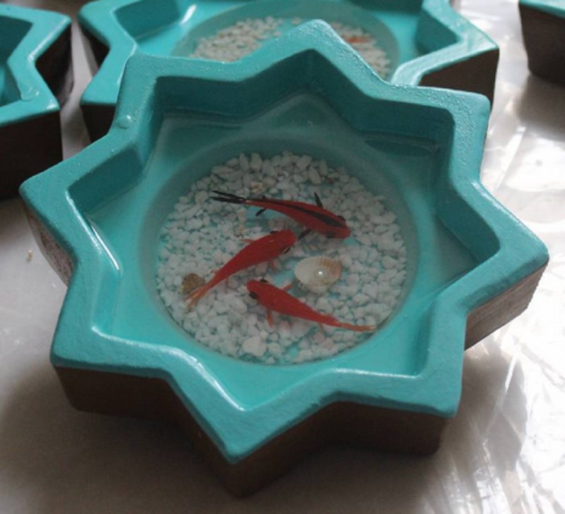 حوض ستاره