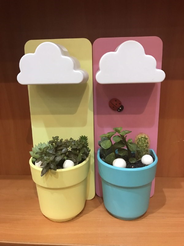 کاکتوس (گلدان طرح ابر)