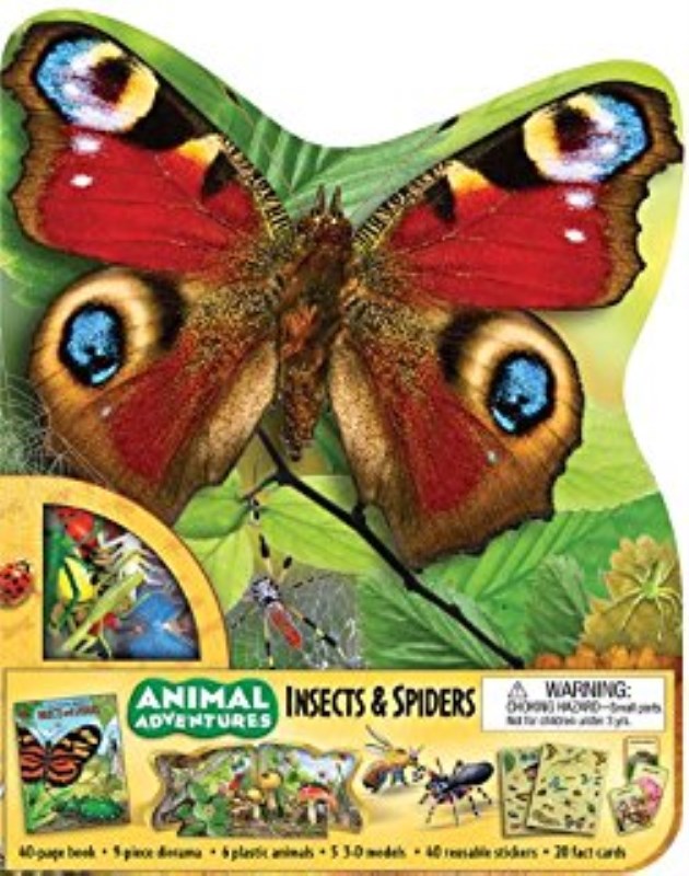 Animal adventures rain forest