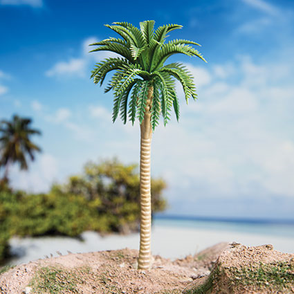 نخل خرما 1614117703