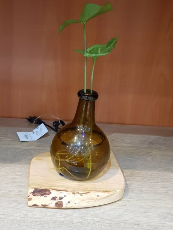 گلدان آباژوری 3