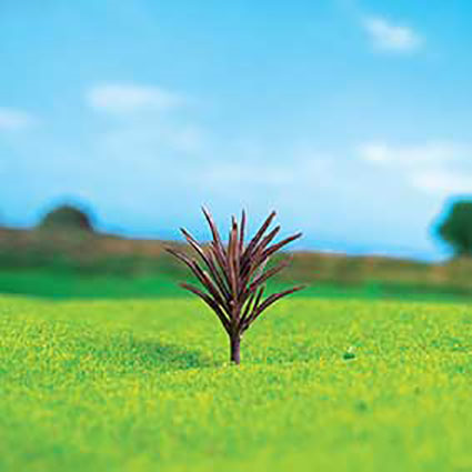 تنه کاج سدر 3.5cm (1618237313)